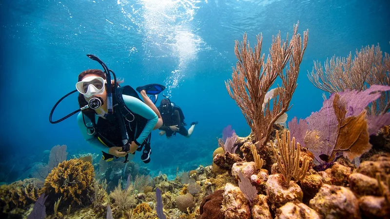 Andaman Adventure Tour Packages