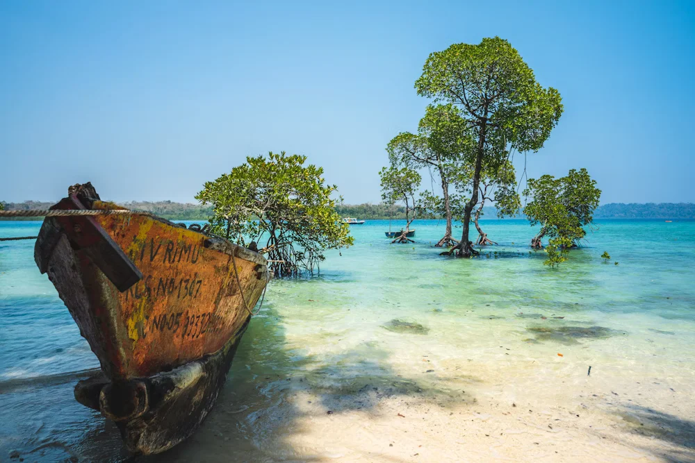 Andaman Tour Packages